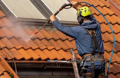Démoussage et hydrofuge de toiture à Mizoën